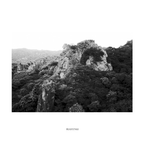 R0011740