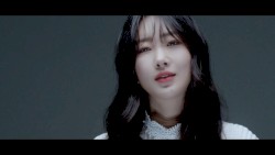 눈 닮은 눈