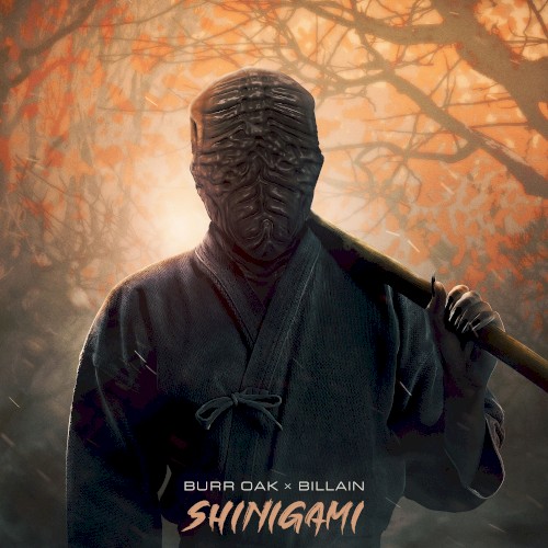 Shinigami / Strafe