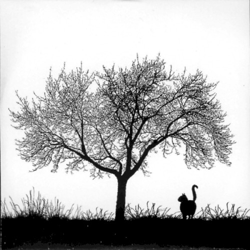 Library Tapes / Nils Frahm