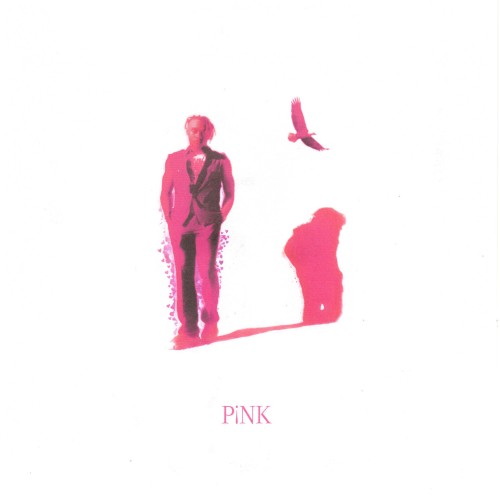 WTF Is P¡NK