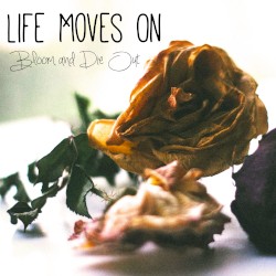 Bloom and Die Out