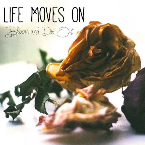 Bloom and Die Out