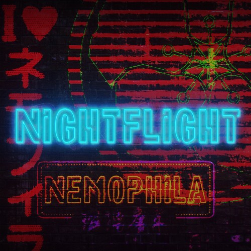 Night Flight