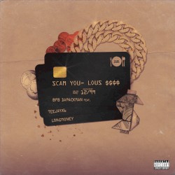 ScamYouLous