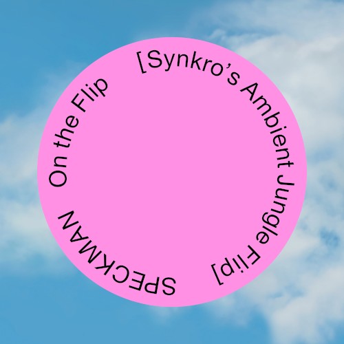 On the Flip (Synkro`s ambient jungle Flip)