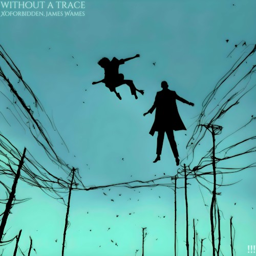 Without a Trace