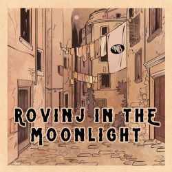 Rovinj in the Moonlight