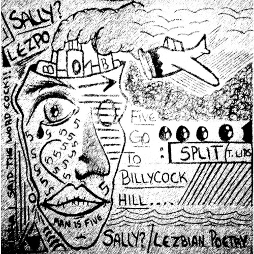 Five Go to Billycock Hill