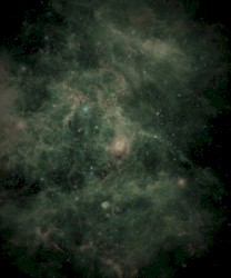 Cosmos Perspective