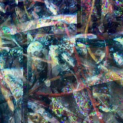 Authigenesis