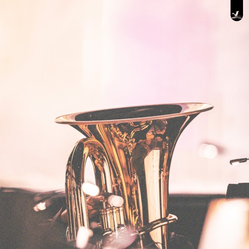 Jazz Nights