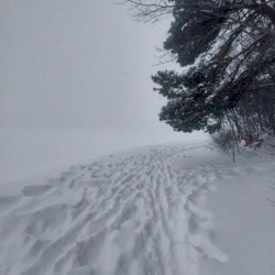 winter II