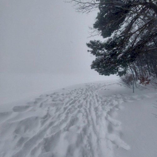 winter II