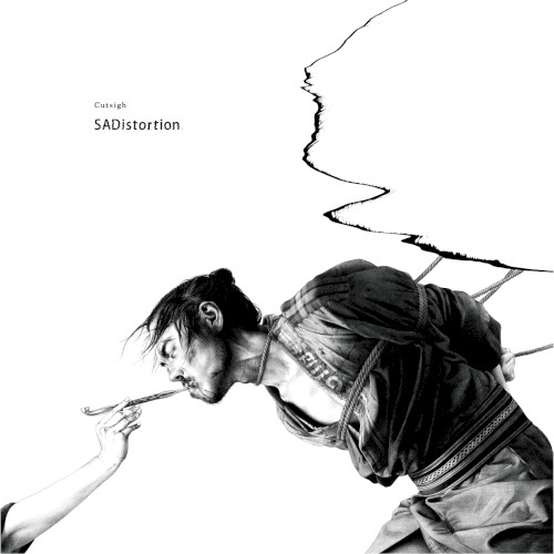 SADistortion