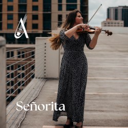 Señorita (Violin Cover)