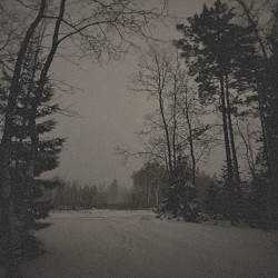 Snow Falling
