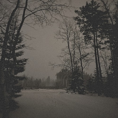 Snow Falling