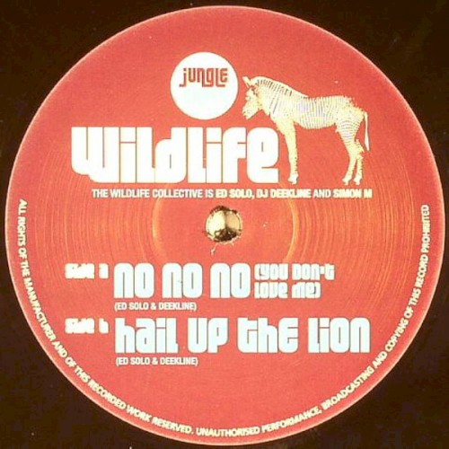 No No No (You Don't Love Me) / Hail Up The Lion