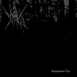 Insignificant Life