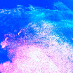 Summer Shore / August Sky