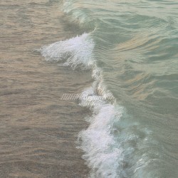 //////////dreams