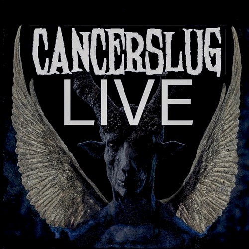 Live