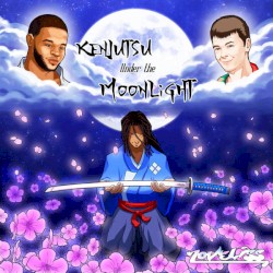 Kenjutsu Under the Moonlight