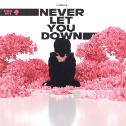 Never Let You Down