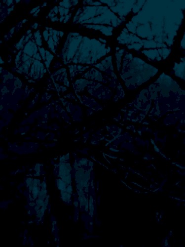 Concert Le Taf, Locmaria-Berrien | 2023