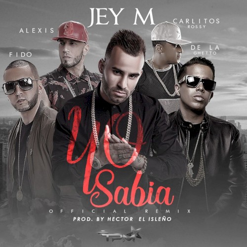 Yo sabía (remix)