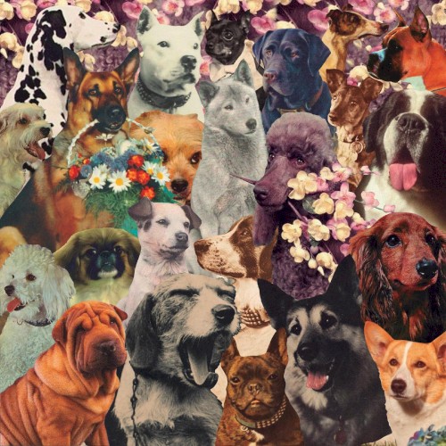 DOGSTOEVSKY