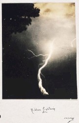 White Lightning