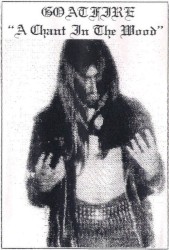 A Chant in the Wood