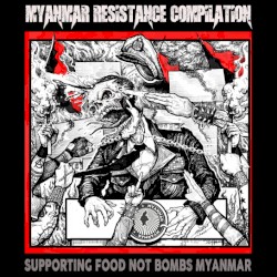 Myanmar Resistance Compilation