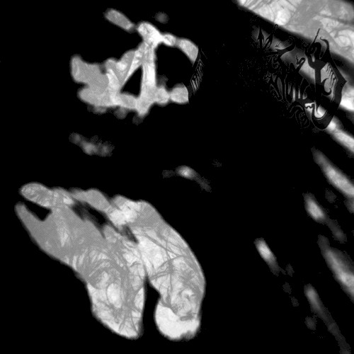 Languor Into Echoes, Beyond