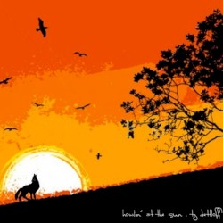 Howlin' at the Sun