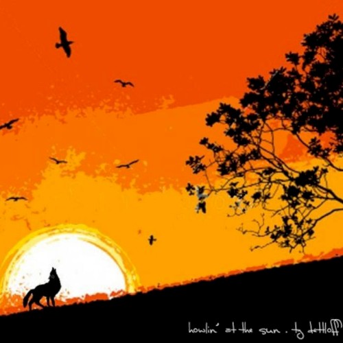 Howlin' at the Sun
