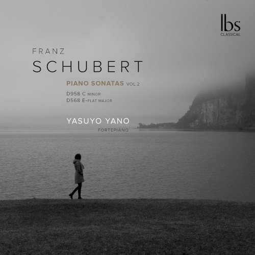 Piano Sonatas, Vol. 2