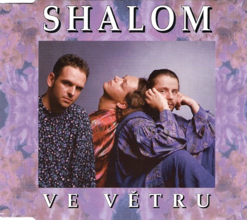 Ve větru