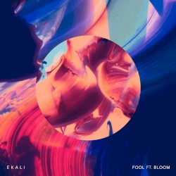 Fool