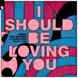 I Should Be Loving You