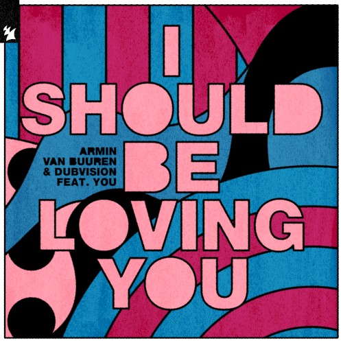 I Should Be Loving You