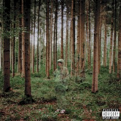 Something To Hide
