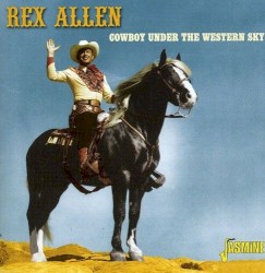 Cowboy Under the Western Sky