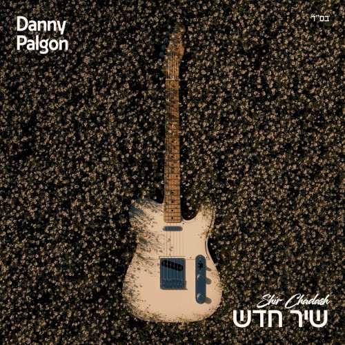 שיר חדש