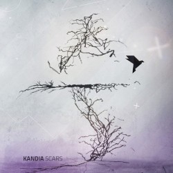 Scars