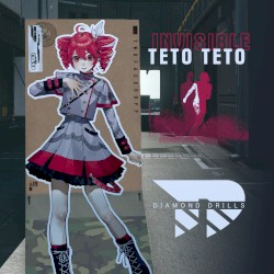 INVISIBLE TETO