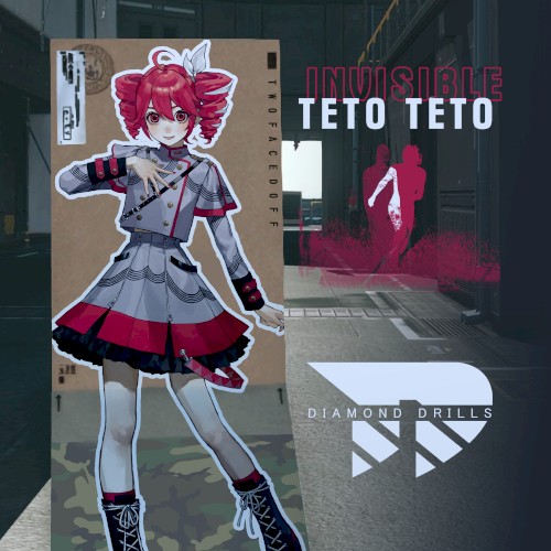 INVISIBLE TETO