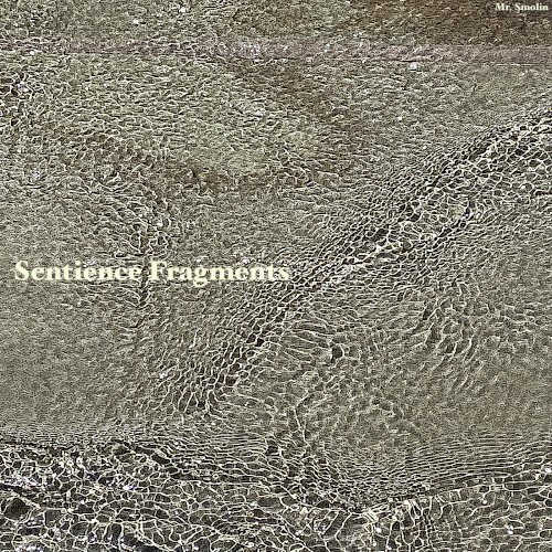 Sentience Fragments